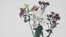 « Voici des fleurs » -  Le printemps de Damien Cabanes