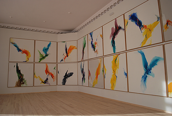 Galerie Image