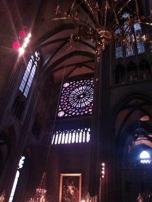 Galerie Image