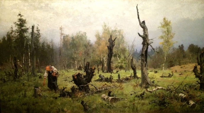 Galerie Image
