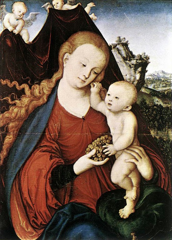 Galerie Image