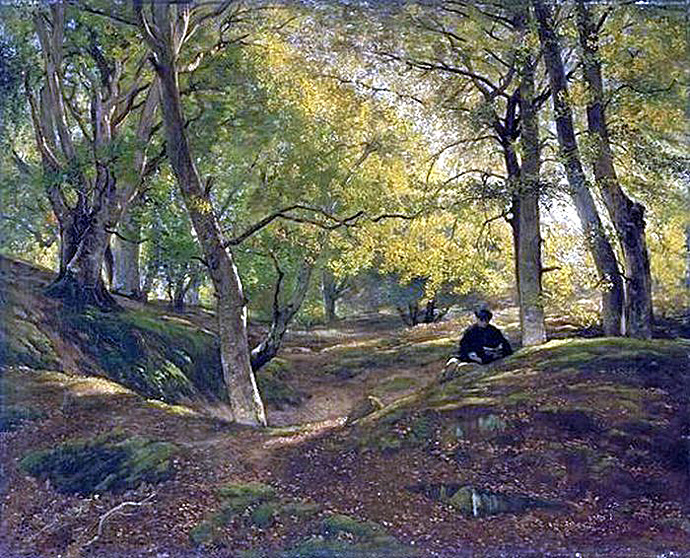 Galerie Image